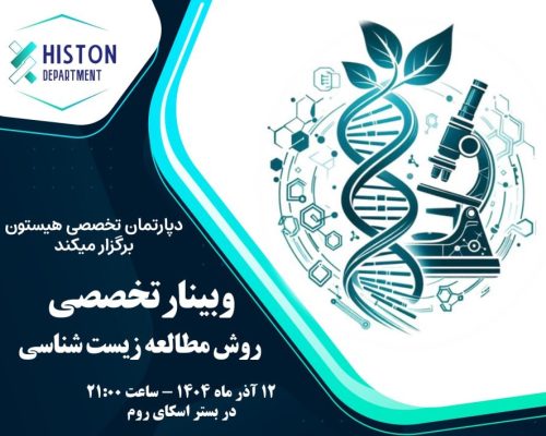 photo_2025-11-25_08-06-16